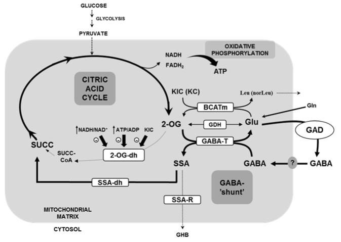 Figure1