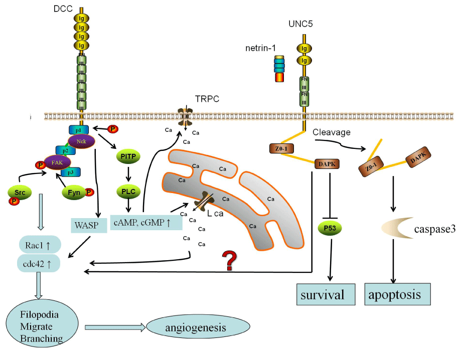 Figure1