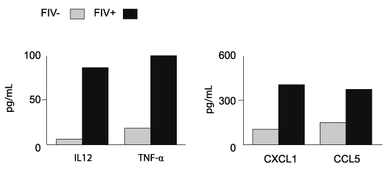 view figure 4