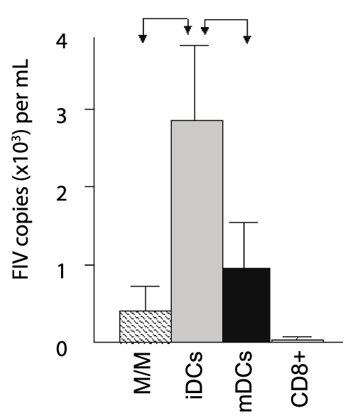 view figure 5
